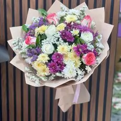 ‎چەپكە گوڵی داودی 