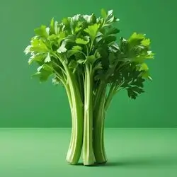 Celery