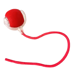 E493 pet ball