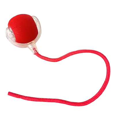 E493 pet ball