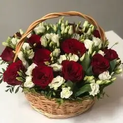Basket Flower