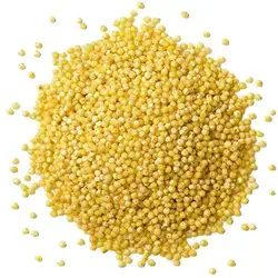 Bird Food (Lovebirds & Finches)