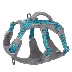 Huntboo Leash & Harness XL