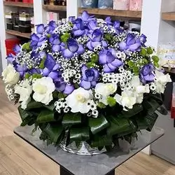 گوڵی سەبەتە