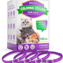 Oimmal Calming Collar 4X