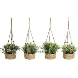 Hanging Plant In Jute Pot