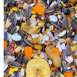 Parrot Food Mixed Fruit - 1 Kg