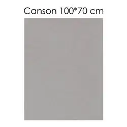 Canson Paper (Gray) 100 X 70 cm