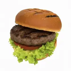 بەرگرى کلاسیک