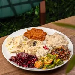 Large Plate - 8 Types