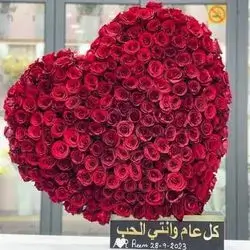 My Heart