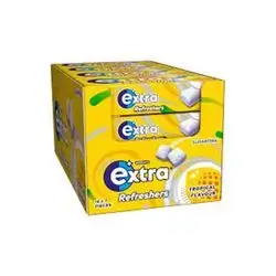 Extra Ch/gum Refreshner Pnpl 16gx24