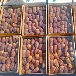 Jordanian Dates