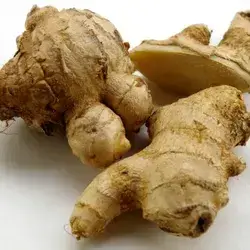 Ginger