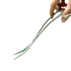 E887 Aquarium Tweezers