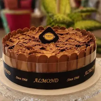 Black Forest (12 Persons )