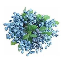 Blue Berries Pcs