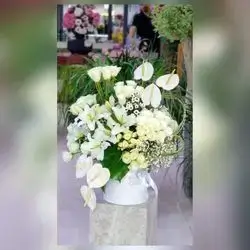 Imported Natural Flower Box