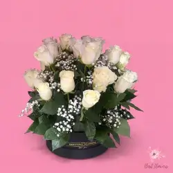 Box Flower-White