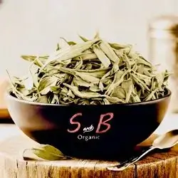 Stevia Leaf ( best and number one)