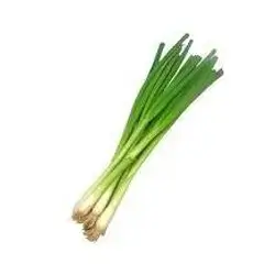 Green Onions