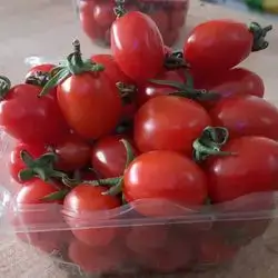 Cherry Tomato