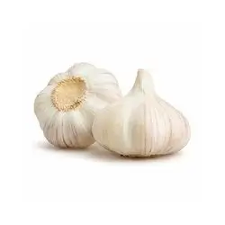 Garlic Import Kg