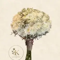 Brid Bouquet