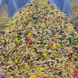 Canary Food Without A Bag, Type Verslak & Beans & Fruits