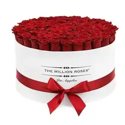 VIP Box 100 Red Roses