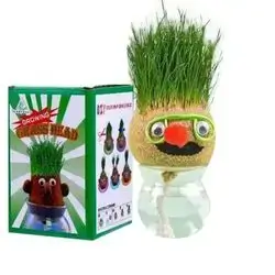 Grass Head