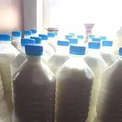 Beef Milk