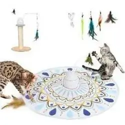 Cat Toy