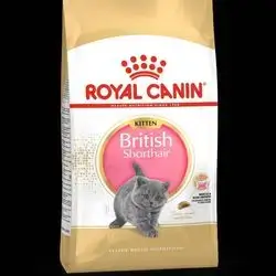 Royal canin british kitten