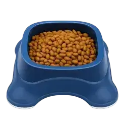 Bowl 475 ML