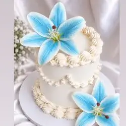 Special Cake - 6 Persons