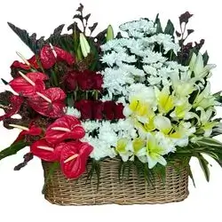 Basket Of Crise And Roses With Oriental And Anthurium Flowers