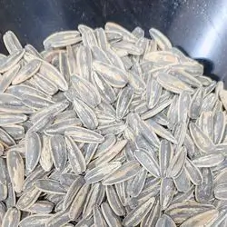 First - Grade Sunflower Seeds
