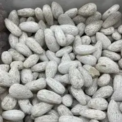 Candy Bon Bons Liquorice