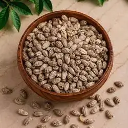 Sisi 3