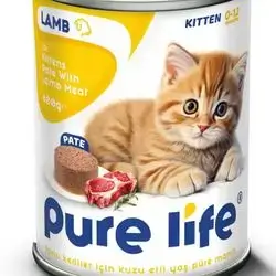 Pure life kitten Lamb