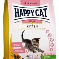 Happy cat kitten 1.3 kg