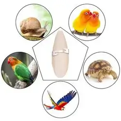 Cuttlefish Bones Natural Calcium Chew Toys for Parrots With Mineral for Parrots, Cage, Reptiles, Turtles, Snails, Birds, Pets