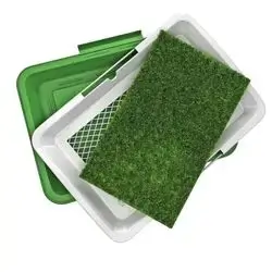 Dog Training Pad 