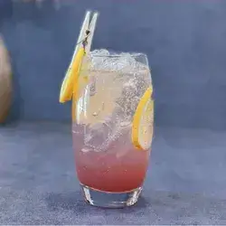 Cranberry Mojito
