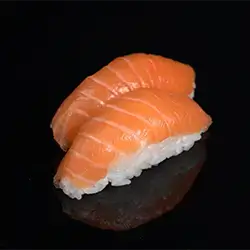Salmon