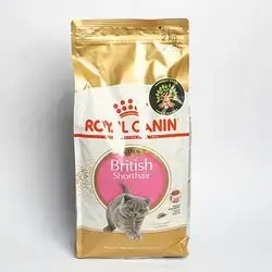 Royal Canin - British Shorthair Kitten