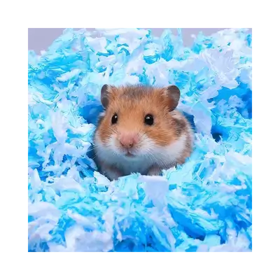 E921 Hamster Bedding Paper