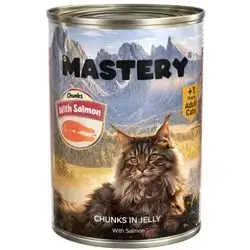Mastery Salmon in Jelly 400g