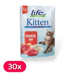 Life Cat Pouch Kitten - Beef x30